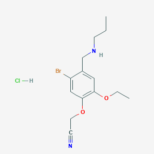 molecular formula C14H20BrClN2O2 B4142189 {5-bromo-2-ethoxy-4-[(propylamino)methyl]phenoxy}acetonitrile hydrochloride 