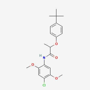 2-(4-tert-butylphenoxy)-N-(4-chloro-2,5-dimethoxyphenyl)propanamide