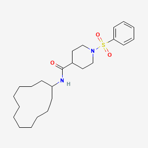 N-cyclododecyl-1-(phenylsulfonyl)-4-piperidinecarboxamide