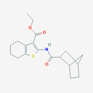 molecular formula C19H25NO3S B414576 Ethyl 2-[(bicyclo[2.2.1]hept-2-ylcarbonyl)amino]-4,5,6,7-tetrahydro-1-benzothiophene-3-carboxylate 