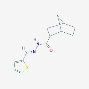N'-(2-thienylmethylene)bicyclo[2.2.1]heptane-2-carbohydrazide