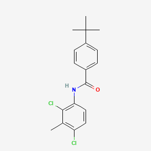 4-tert-butyl-N-(2,4-dichloro-3-methylphenyl)benzamide