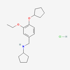 N-[4-(cyclopentyloxy)-3-ethoxybenzyl]cyclopentanamine hydrochloride