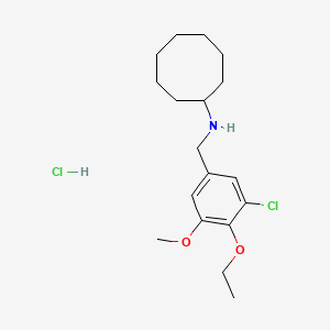 N-[(3-chloro-4-ethoxy-5-methoxyphenyl)methyl]cyclooctanamine;hydrochloride