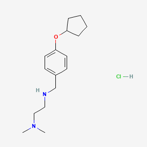 N'-[4-(cyclopentyloxy)benzyl]-N,N-dimethyl-1,2-ethanediamine hydrochloride