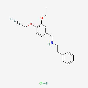 molecular formula C20H24ClNO2 B4149435 N-[(3-ethoxy-4-prop-2-ynoxyphenyl)methyl]-2-phenylethanamine;hydrochloride 