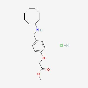 Methyl 2-[4-[(cyclooctylamino)methyl]phenoxy]acetate;hydrochloride