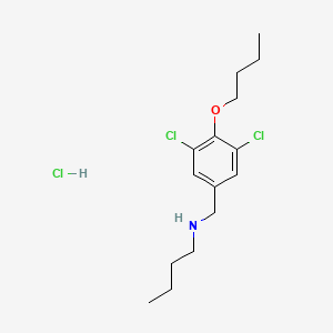 molecular formula C15H24Cl3NO B4149499 N-(4-butoxy-3,5-dichlorobenzyl)-1-butanamine hydrochloride 