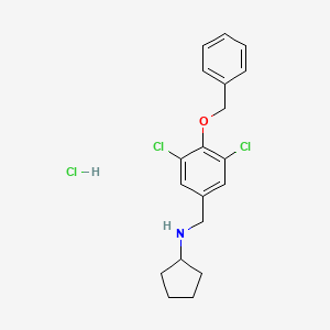 N-[4-(benzyloxy)-3,5-dichlorobenzyl]cyclopentanamine hydrochloride