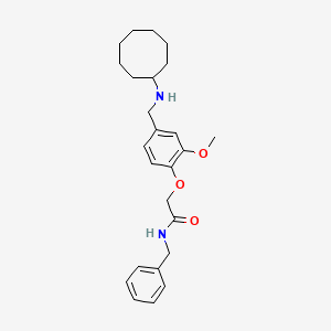 N-benzyl-2-{4-[(cyclooctylamino)methyl]-2-methoxyphenoxy}acetamide