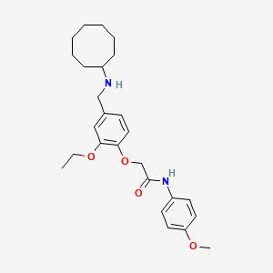 2-{4-[(cyclooctylamino)methyl]-2-ethoxyphenoxy}-N-(4-methoxyphenyl)acetamide