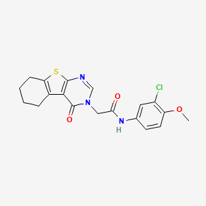 N-(3-chloro-4-methoxyphenyl)-2-(4-oxo-5,6,7,8-tetrahydro[1]benzothieno[2,3-d]pyrimidin-3(4H)-yl)acetamide