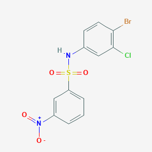 molecular formula C12H8BrClN2O4S B4151007 N-(4-bromo-3-chlorophenyl)-3-nitrobenzenesulfonamide 