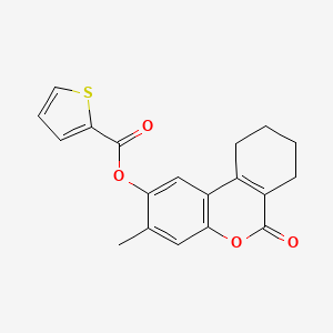 3-METHYL-6-OXO-6H,7H,8H,9H,10H-CYCLOHEXA[C]CHROMEN-2-YL THIOPHENE-2-CARBOXYLATE