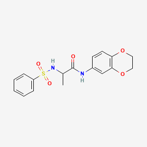 2-(benzenesulfonamido)-N-(2,3-dihydro-1,4-benzodioxin-6-yl)propanamide