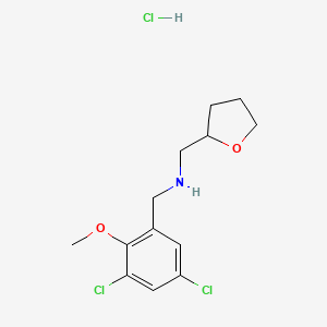 N-[(3,5-dichloro-2-methoxyphenyl)methyl]-1-(oxolan-2-yl)methanamine;hydrochloride