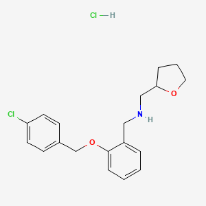 N-[[2-[(4-chlorophenyl)methoxy]phenyl]methyl]-1-(oxolan-2-yl)methanamine;hydrochloride