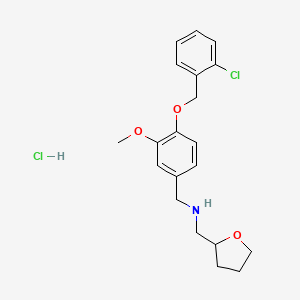 N-[[4-[(2-chlorophenyl)methoxy]-3-methoxyphenyl]methyl]-1-(oxolan-2-yl)methanamine;hydrochloride