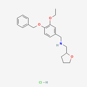 molecular formula C21H28ClNO3 B4155913 N-[(3-ethoxy-4-phenylmethoxyphenyl)methyl]-1-(oxolan-2-yl)methanamine;hydrochloride 