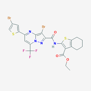 molecular formula C23H17Br2F3N4O3S2 B415592 Ethyl 2-({[3-bromo-5-(4-bromo-2-thienyl)-7-(trifluoromethyl)pyrazolo[1,5-a]pyrimidin-2-yl]carbonyl}amino)-4,5,6,7-tetrahydro-1-benzothiophene-3-carboxylate 