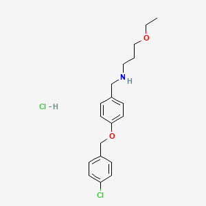 N-[[4-[(4-chlorophenyl)methoxy]phenyl]methyl]-3-ethoxypropan-1-amine;hydrochloride