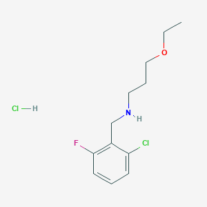 molecular formula C12H18Cl2FNO B4156025 N-[(2-chloro-6-fluorophenyl)methyl]-3-ethoxypropan-1-amine;hydrochloride 