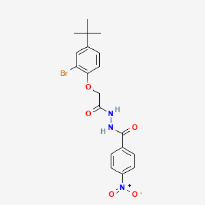 molecular formula C19H20BrN3O5 B4156078 N'-[(2-bromo-4-tert-butylphenoxy)acetyl]-4-nitrobenzohydrazide 