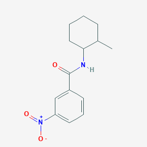 molecular formula C14H18N2O3 B4157782 N-(2-methylcyclohexyl)-3-nitrobenzamide 