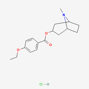 molecular formula C17H24ClNO3 B4158176 (8-Methyl-8-azabicyclo[3.2.1]octan-3-yl) 4-ethoxybenzoate;hydrochloride 