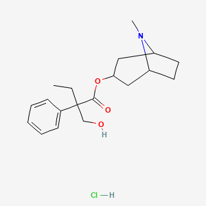 molecular formula C19H28ClNO3 B4160064 8-methyl-8-azabicyclo[3.2.1]oct-3-yl 2-(hydroxymethyl)-2-phenylbutanoate hydrochloride 