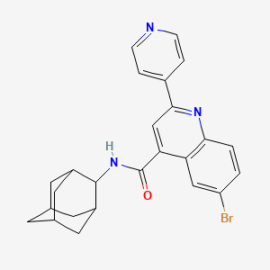 N-2-adamantyl-6-bromo-2-(4-pyridinyl)-4-quinolinecarboxamide