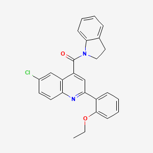 6-chloro-4-(2,3-dihydro-1H-indol-1-ylcarbonyl)-2-(2-ethoxyphenyl)quinoline