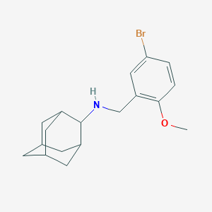 molecular formula C18H24BrNO B416338 N-(5-bromo-2-methoxybenzyl)-2-adamantanamine 
