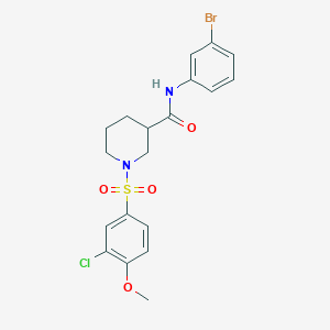 N-(3-BROMOPHENYL)-1-(3-CHLORO-4-METHOXYBENZENESULFONYL)PIPERIDINE-3-CARBOXAMIDE