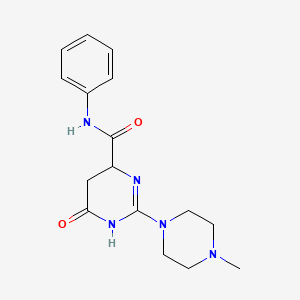 molecular formula C16H21N5O2 B4167856 2-(4-methyl-1-piperazinyl)-6-oxo-N-phenyl-3,4,5,6-tetrahydro-4-pyrimidinecarboxamide 
