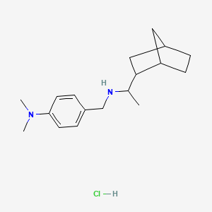 (1-bicyclo[2.2.1]hept-2-ylethyl)[4-(dimethylamino)benzyl]amine hydrochloride