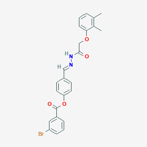 molecular formula C24H21BrN2O4 B417138 4-{2-[(2,3-Dimethylphenoxy)acetyl]carbohydrazonoyl}phenyl 3-bromobenzoate 