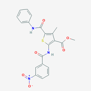 molecular formula C21H17N3O6S B417240 Methyl 5-(anilinocarbonyl)-2-({3-nitrobenzoyl}amino)-4-methylthiophene-3-carboxylate 