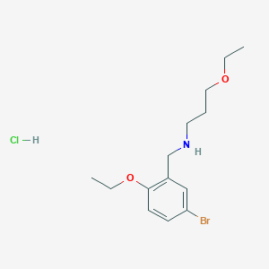 N-(5-bromo-2-ethoxybenzyl)-3-ethoxy-1-propanamine hydrochloride