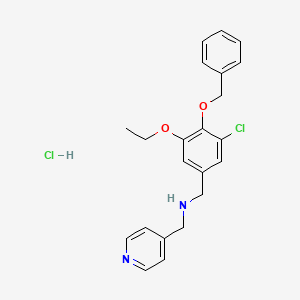 molecular formula C22H24Cl2N2O2 B4174130 [4-(benzyloxy)-3-chloro-5-ethoxybenzyl](4-pyridinylmethyl)amine hydrochloride 