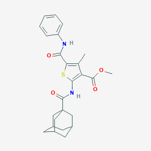 molecular formula C25H28N2O4S B417932 Methyl 4-methyl-5-[(phenylamino)carbonyl]-2-[(tricyclo[3.3.1.1~3,7~]dec-1-ylcarbonyl)amino]thiophene-3-carboxylate 