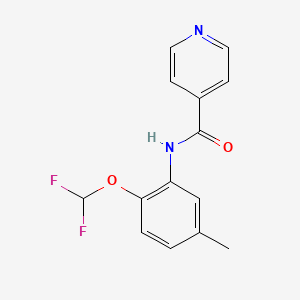 molecular formula C14H12F2N2O2 B4179993 N-[2-(difluoromethoxy)-5-methylphenyl]isonicotinamide 