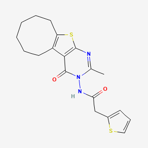 molecular formula C19H21N3O2S2 B4181906 N-(2-methyl-4-oxo-5,6,7,8,9,10-hexahydrocycloocta[4,5]thieno[2,3-d]pyrimidin-3(4H)-yl)-2-(2-thienyl)acetamide 