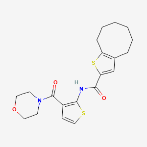 molecular formula C20H24N2O3S2 B4182314 N-[3-(4-morpholinylcarbonyl)-2-thienyl]-4,5,6,7,8,9-hexahydrocycloocta[b]thiophene-2-carboxamide 