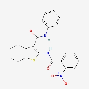 molecular formula C22H19N3O4S B4182977 2-[(2-nitrobenzoyl)amino]-N-phenyl-4,5,6,7-tetrahydro-1-benzothiophene-3-carboxamide 