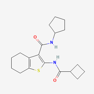 molecular formula C19H26N2O2S B4183187 2-[(cyclobutylcarbonyl)amino]-N-cyclopentyl-4,5,6,7-tetrahydro-1-benzothiophene-3-carboxamide 