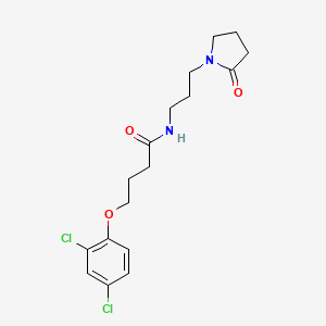 molecular formula C17H22Cl2N2O3 B4183432 4-(2,4-dichlorophenoxy)-N-[3-(2-oxo-1-pyrrolidinyl)propyl]butanamide 