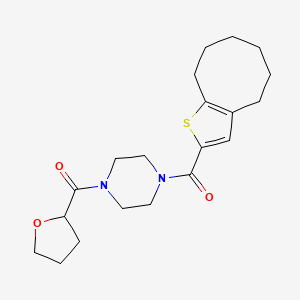 1-(4,5,6,7,8,9-hexahydrocycloocta[b]thien-2-ylcarbonyl)-4-(tetrahydro-2-furanylcarbonyl)piperazine