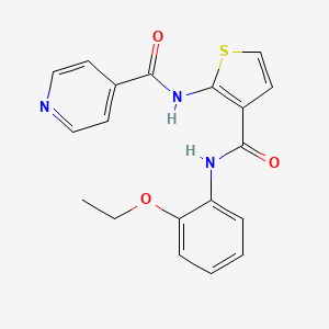 N-(3-{[(2-ethoxyphenyl)amino]carbonyl}-2-thienyl)isonicotinamide