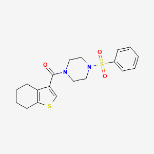 molecular formula C19H22N2O3S2 B4185277 1-(phenylsulfonyl)-4-(4,5,6,7-tetrahydro-1-benzothien-3-ylcarbonyl)piperazine 